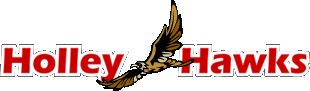 Holley Hawks