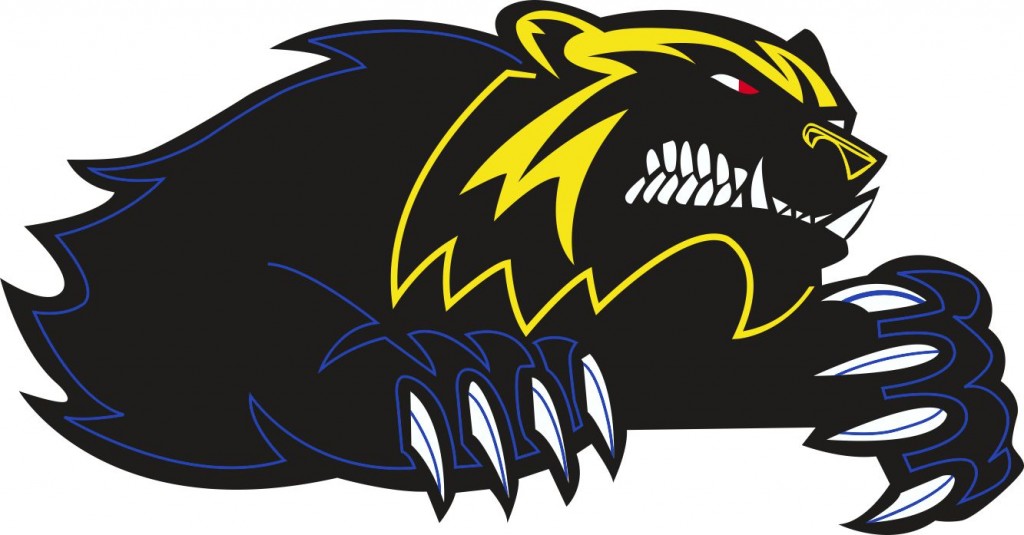 Niagara Falls Wolverines