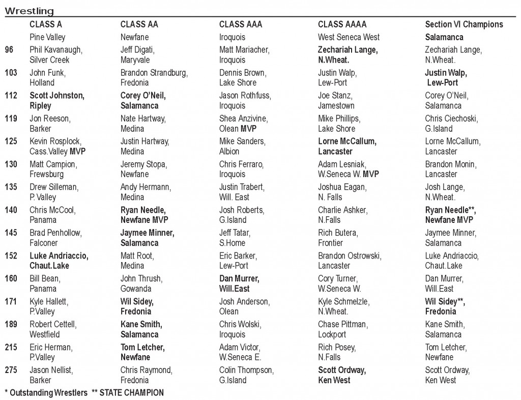 Section VI Wrestling Champions