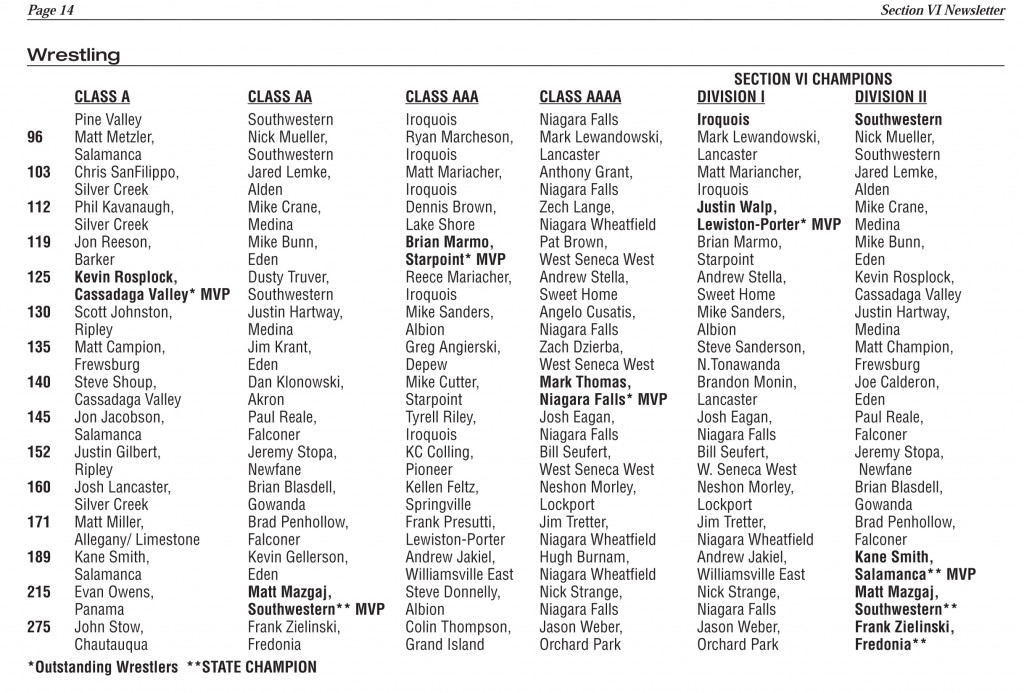 Section VI Wrestling Champions