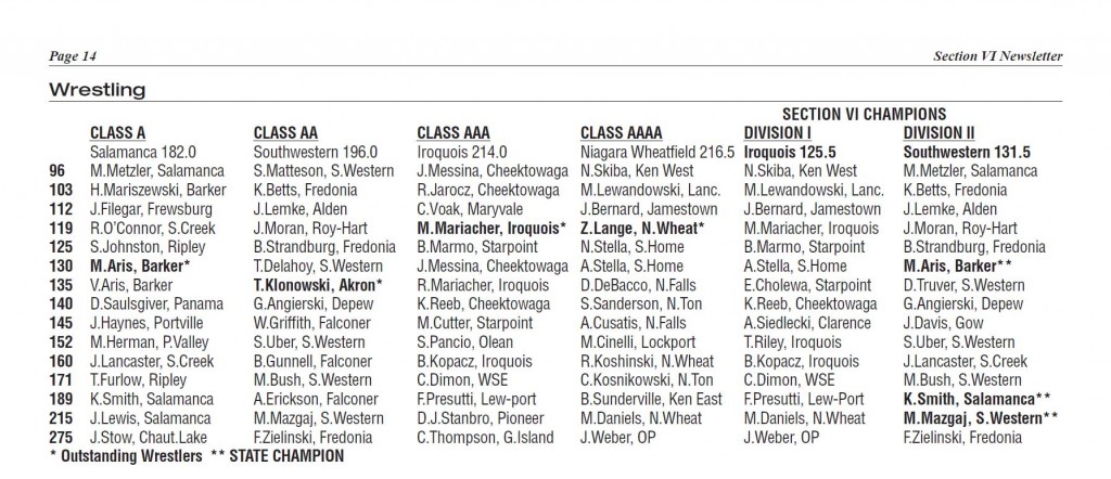 Section VI Wrestling Champions