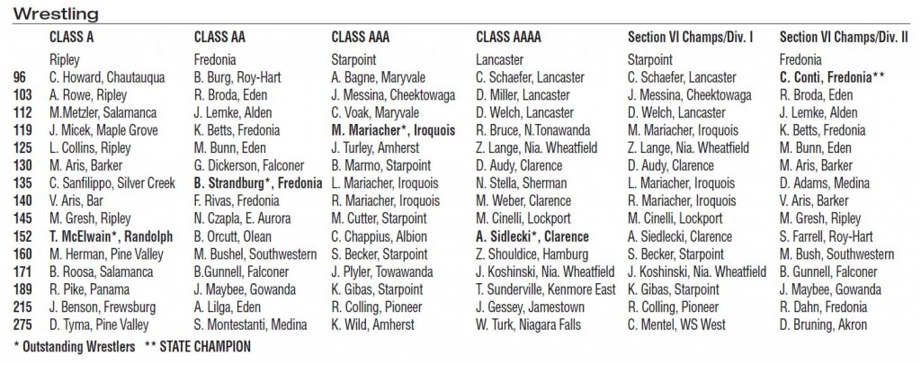 Section VI Wrestling Champions