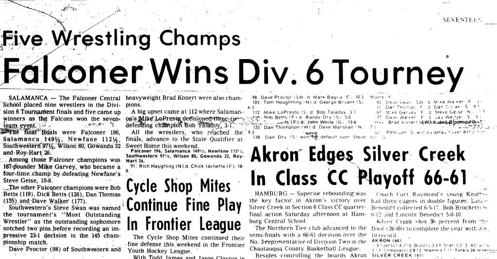 Falconer Wins Div. 6 Tourney