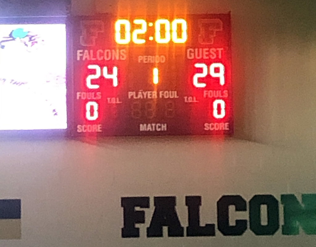 Falcons Fall
