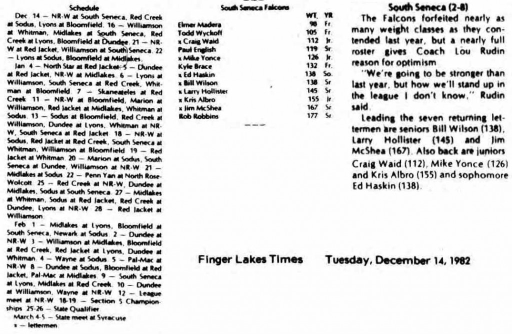 South Seneca Falcons