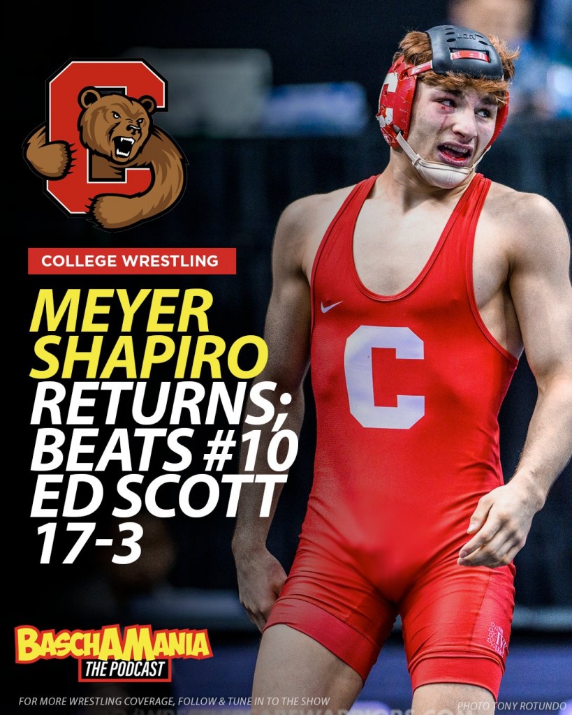 Meyer Shapiro Returns