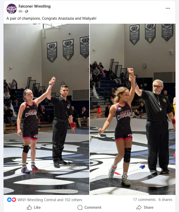 Homer Lady Legacy Tournament