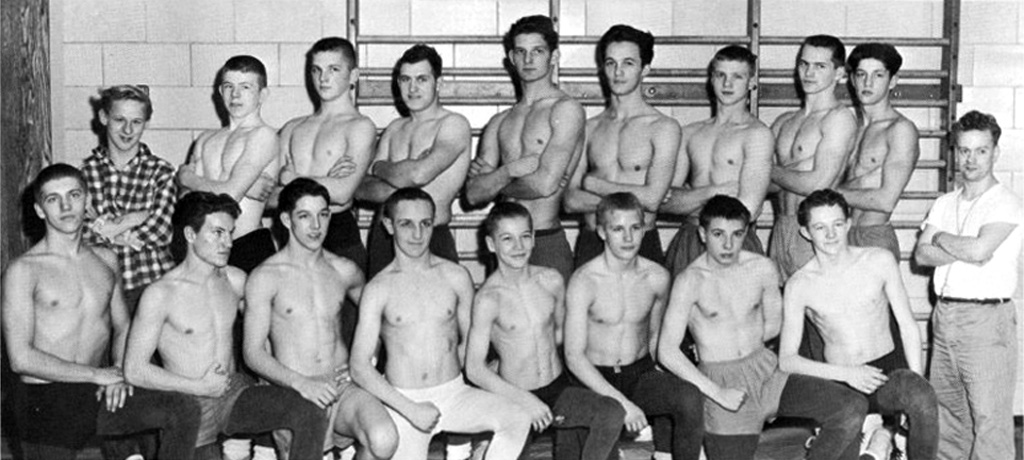 Wellsville Lions